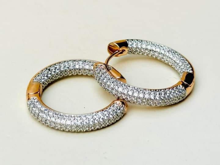 Imported branded earrings