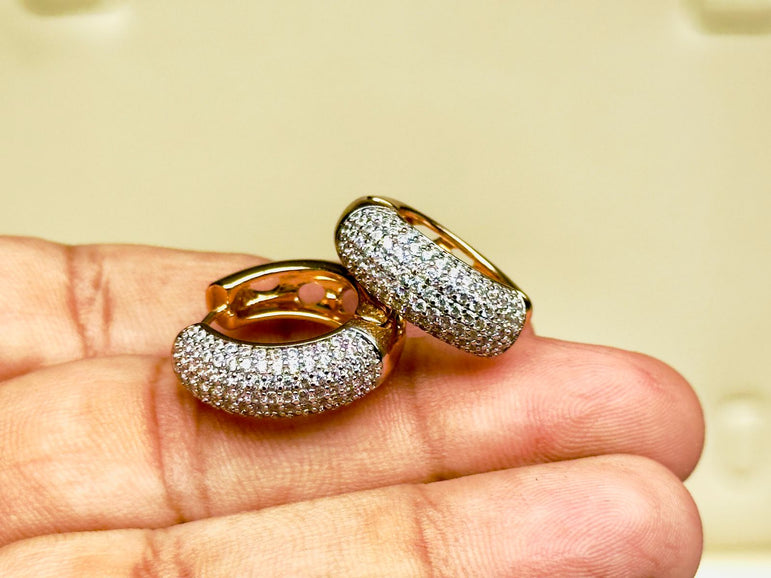Imported branded earrings