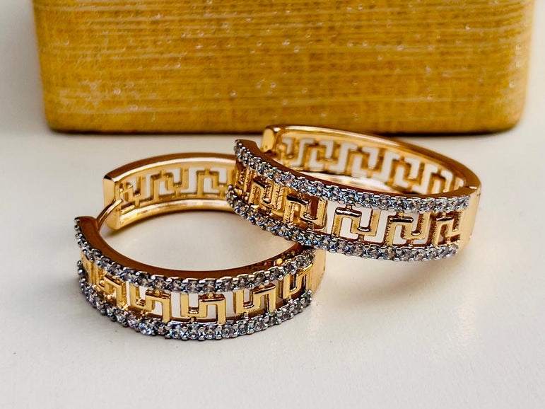 24k Goldplated Imported Branded Earhoops