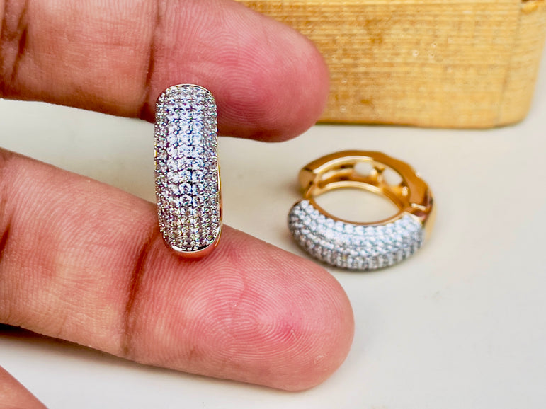 Imported branded earrings