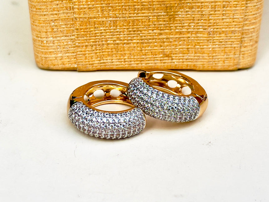 Imported branded earrings