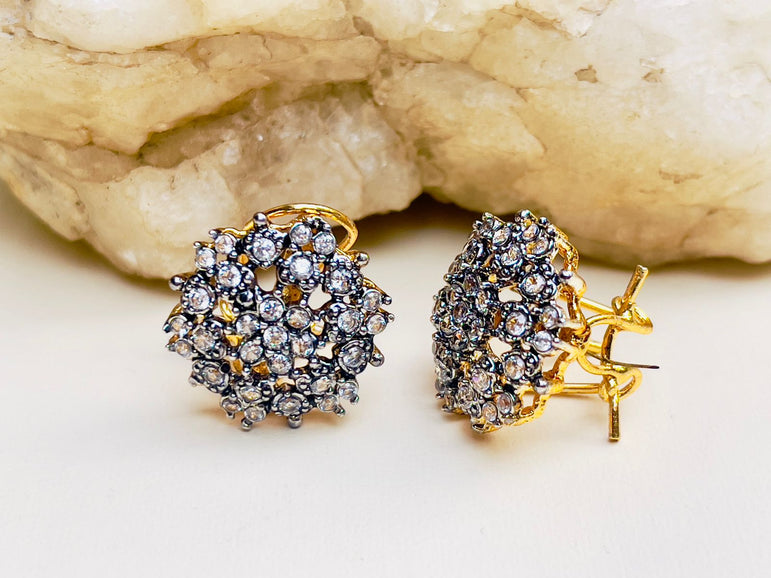 Designer Earrings